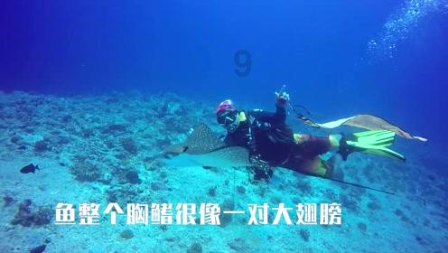 客房服务