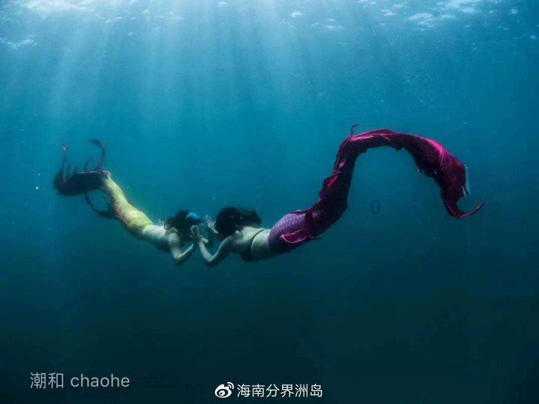 裙上繁花