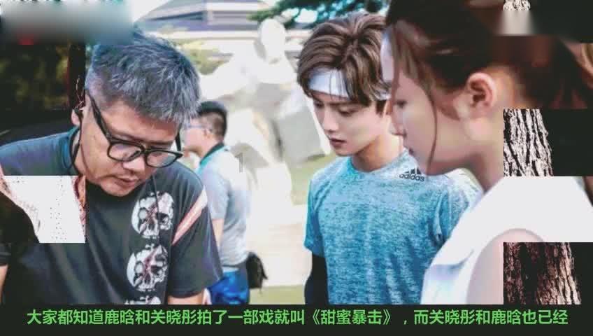 除夕夜的年夜饭去哪里吃?河北区这几家就不错,赶快预定吧!