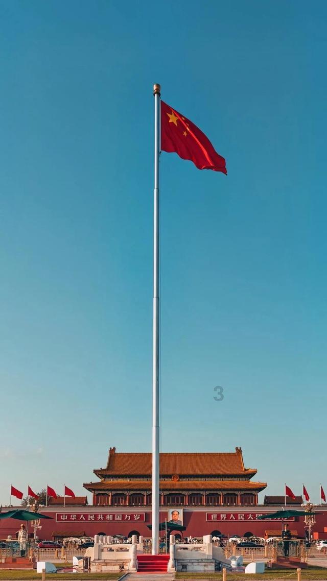 “国保”蕨挖不得！三人涉嫌危害国家重点保护植物罪被判刑，看看