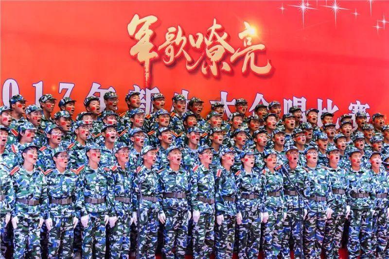 护栏网广泛应用