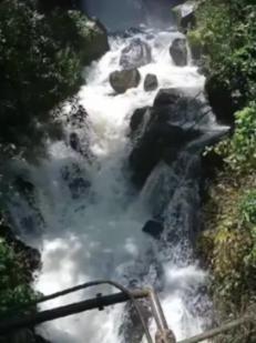 屠龙破晓