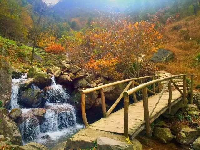 篮球运动员营救