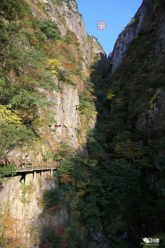 独步竹林